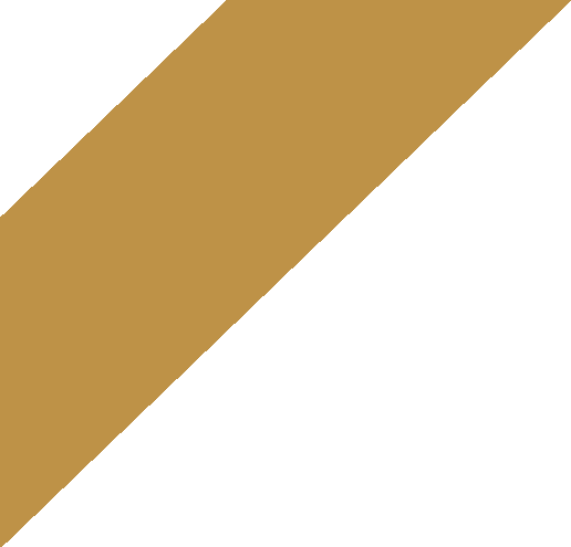 slider-h1-shape-1