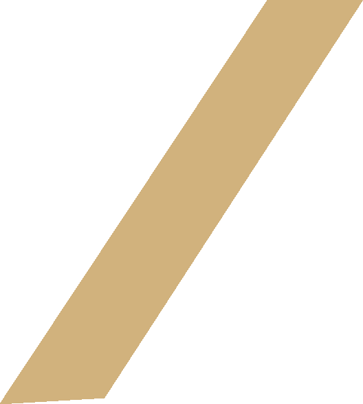slider-h1-shape-5